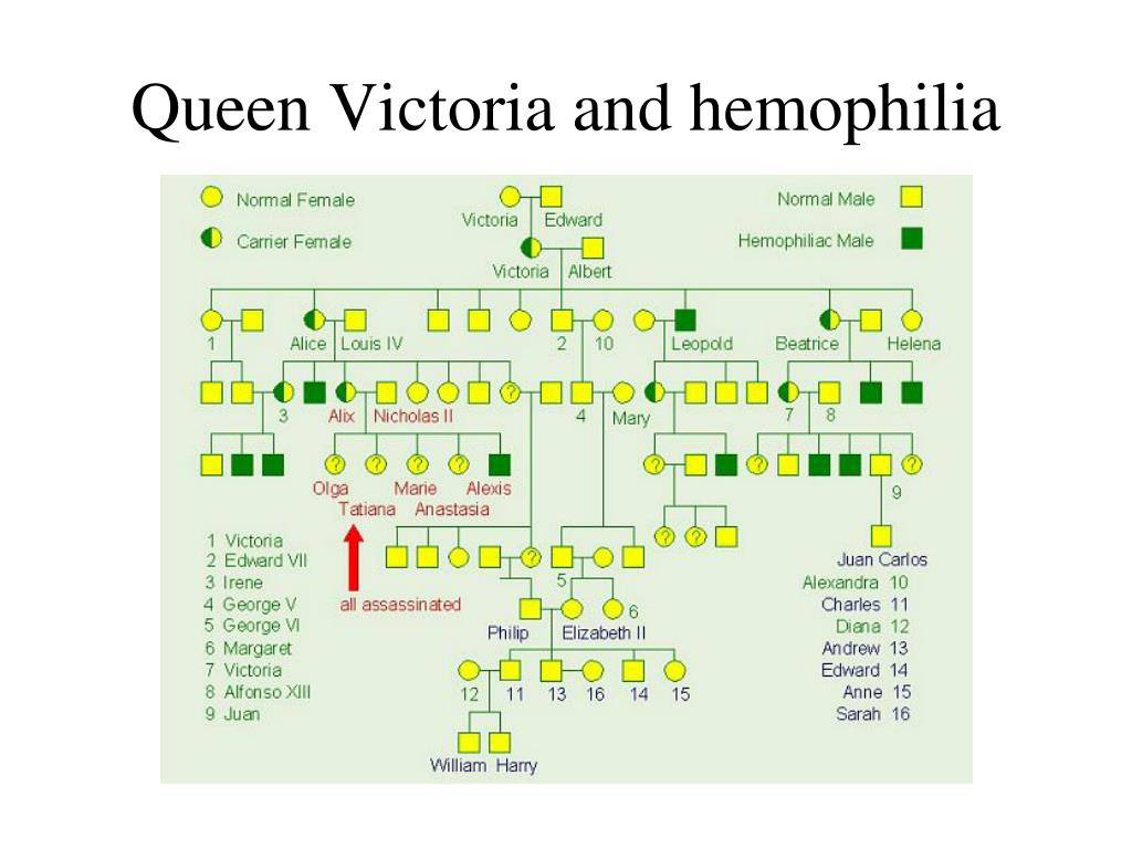 PPT Mendelian Genetics PowerPoint Presentation Free Download ID 