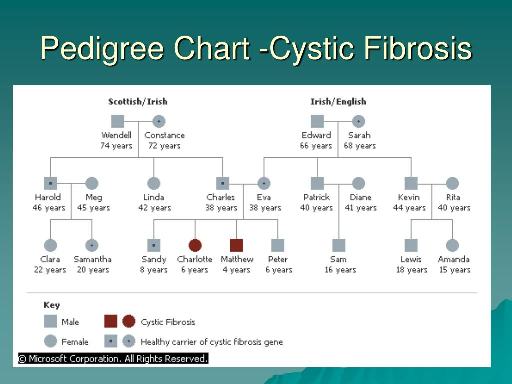PPT Pedigree Charts PowerPoint Presentation Free Download ID 3223311
