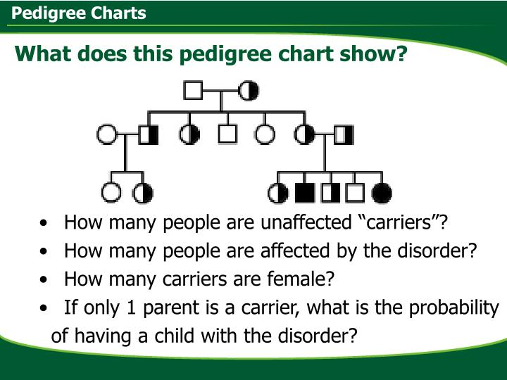 PPT Pedigree Charts PowerPoint Presentation ID 2680902