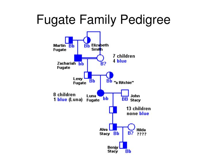 PPT Pedigree Charts PowerPoint Presentation ID 2682372
