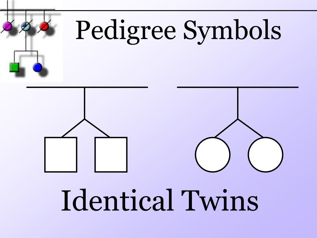 PPT Pedigree PowerPoint Presentation Free Download ID 6606991