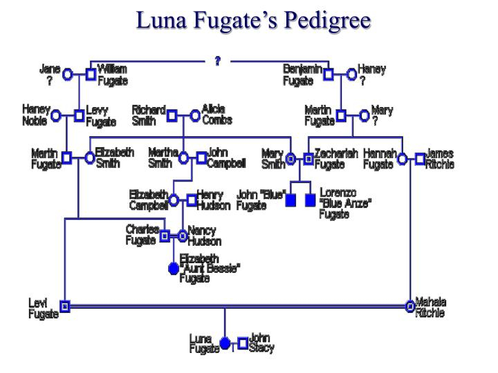 PPT The Blue People Of Troublesome Creek PowerPoint Presentation ID 