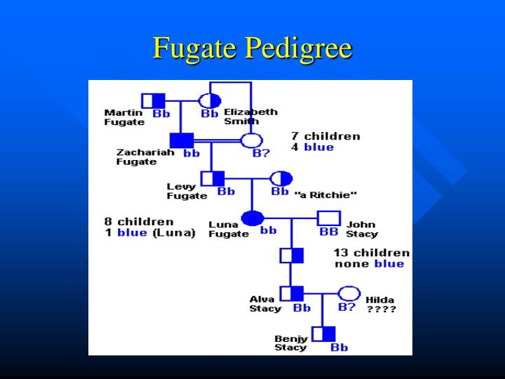 PPT The Blue People Of Troublesome Creek PowerPoint Presentation ID 
