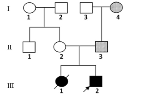 Prader Willi Syndrome Pedigree Chart A Visual Reference Of Charts 