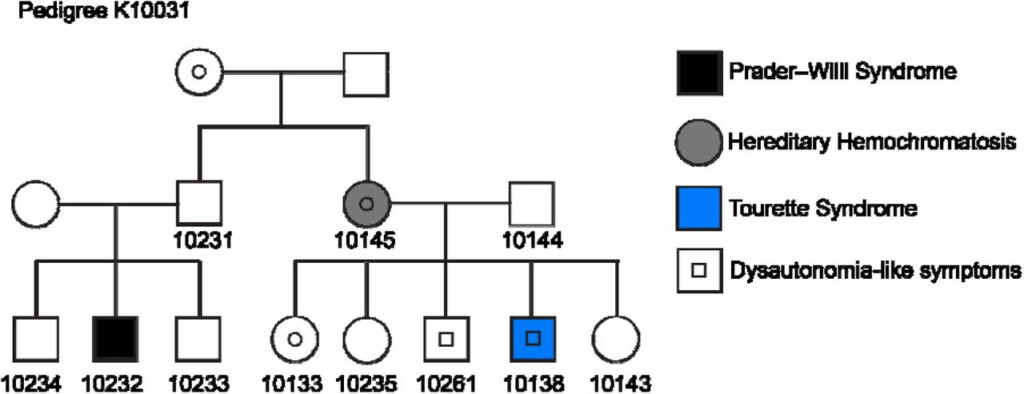 Prader Willi Syndrome Pedigree Chart A Visual Reference Of Charts 