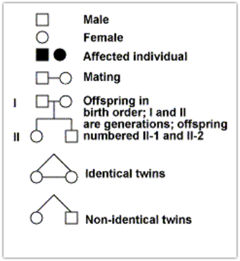 Predictions On Genetic Outcomes Genetics With Twins