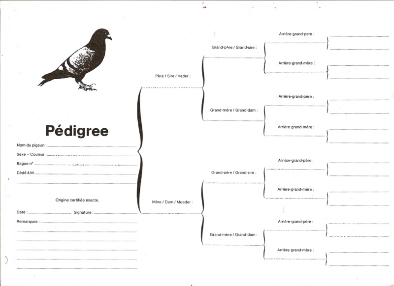 Printable Pigeon Pedigree Forms Blank NewFreePrintable