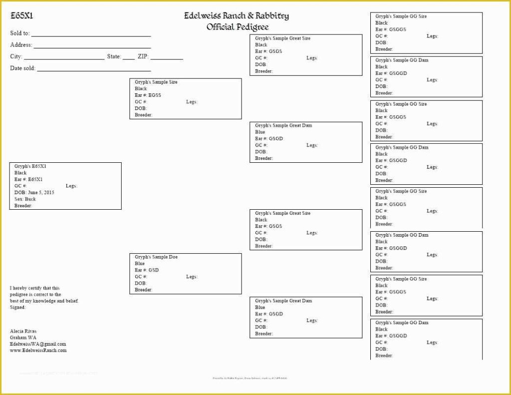 Printable Rabbit Pedigree Forms Printable Forms Free Online