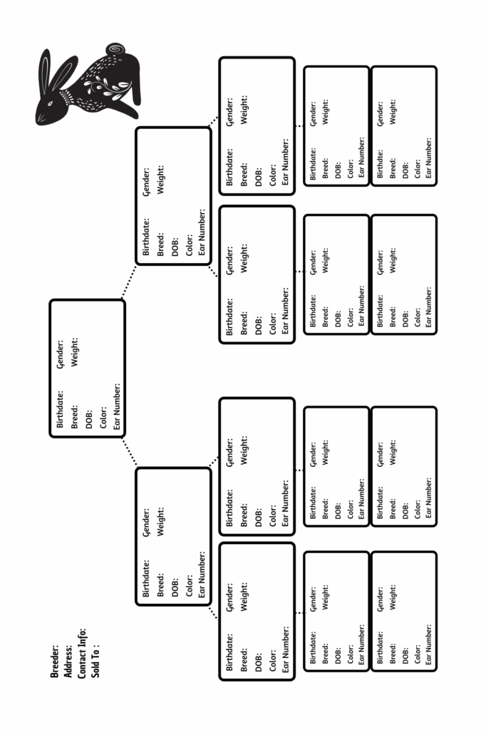 Printable Rabbit Pedigree Template