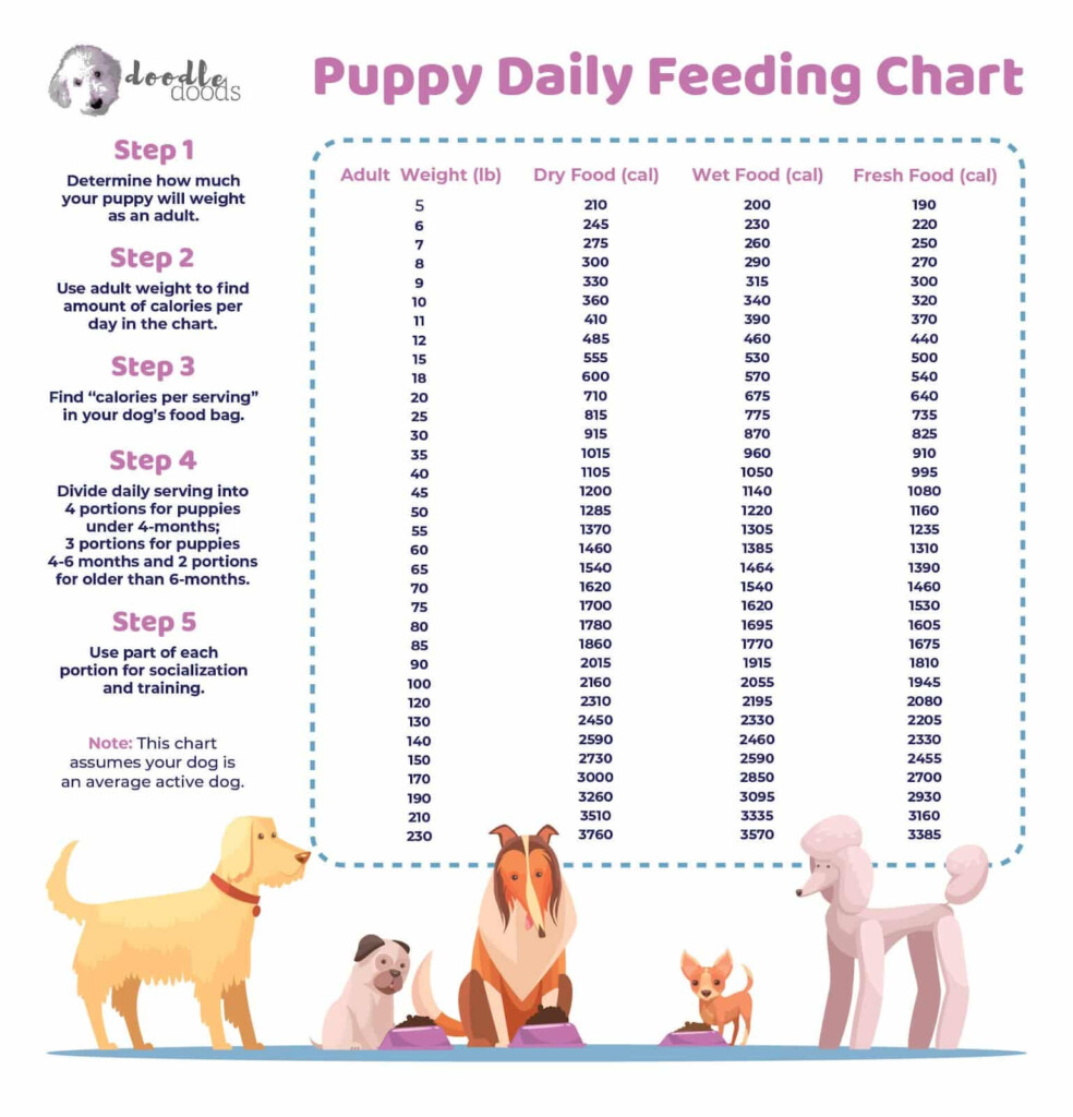 Puppy Bottle Feeding Chart Uk Very Pleasing To Look At Weblog Lightbox