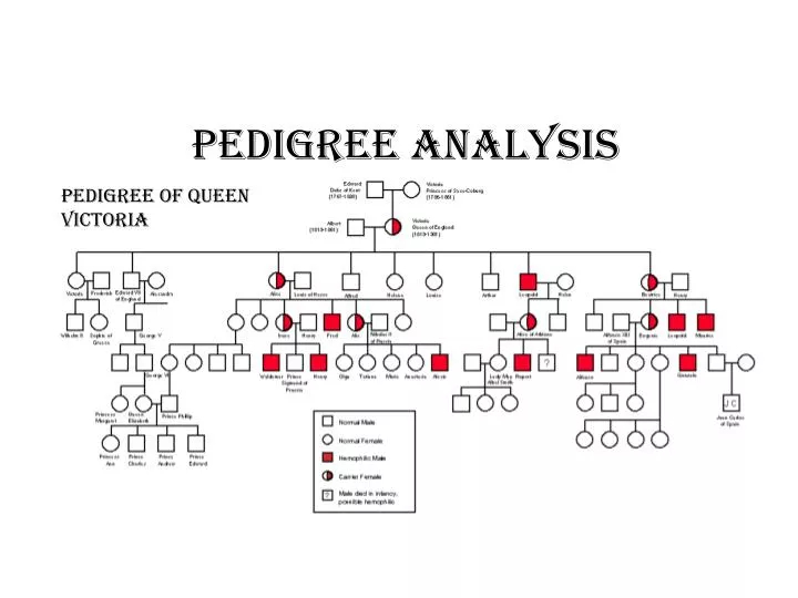 Queen Victoria Hemophilia Chart Ponasa