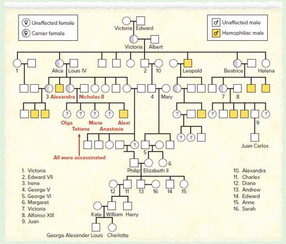 Queen Victoria Hemophilia Pedigree Chart A Visual Reference Of Charts 