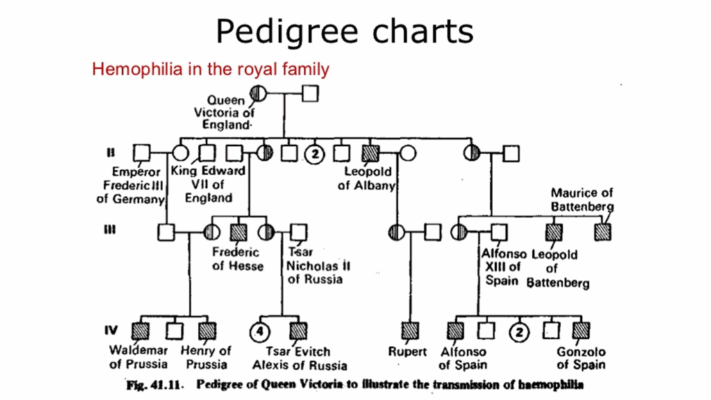 Queen Victoria Hemophilia Pedigree Chart Pedigree Chart Royal Family 