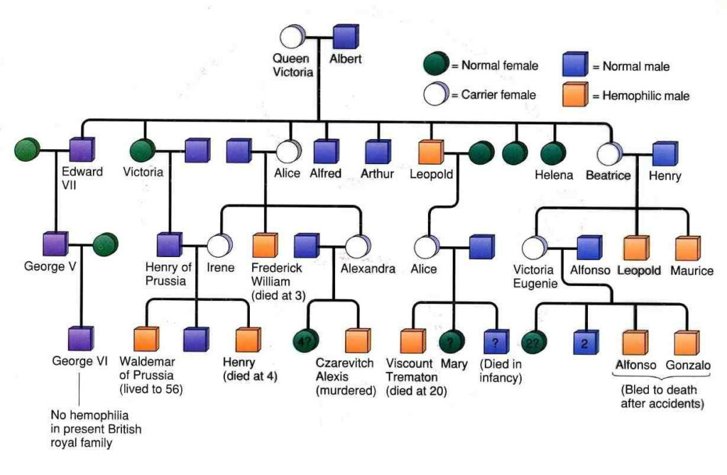 Queen Victorias Grandchildren Family Tree