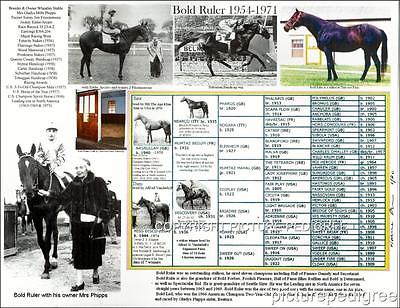 Race Horse BOLD RULER Sire Of Secretariat Picture Pedigree Chart Eddie 