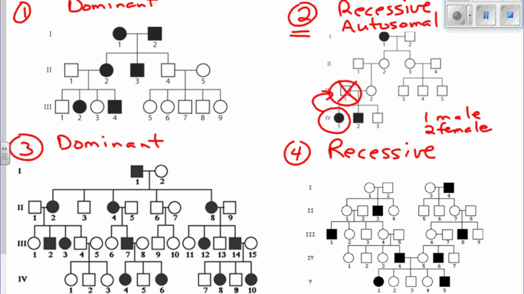 Reading Pedigree Charts A Visual Reference Of Charts Chart Master