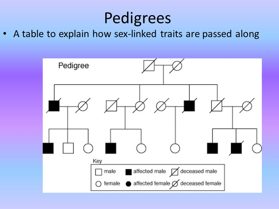 Red Green Color Blindness Pedigree Chart Ponasa