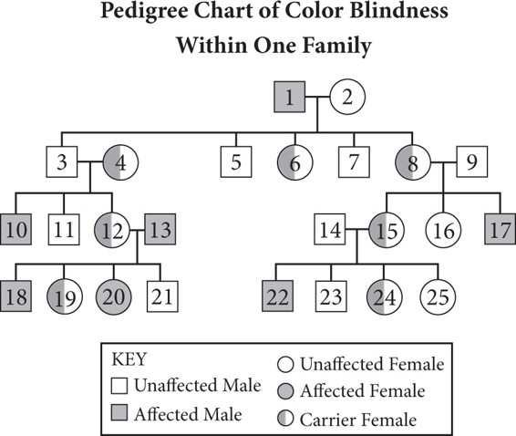 Red Green Color Blindness Pedigree Chart Ponasa