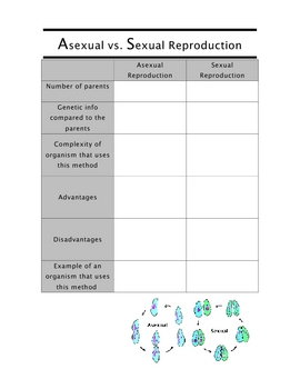 Reproduction SCIENCE Comparing Asexual And Sexual Reproduction Chart