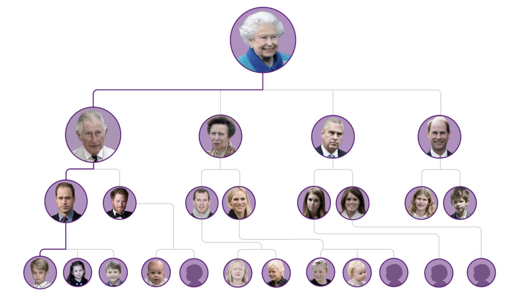 Royal Family Next In Line Of Succession In House Of Windsor After Death 