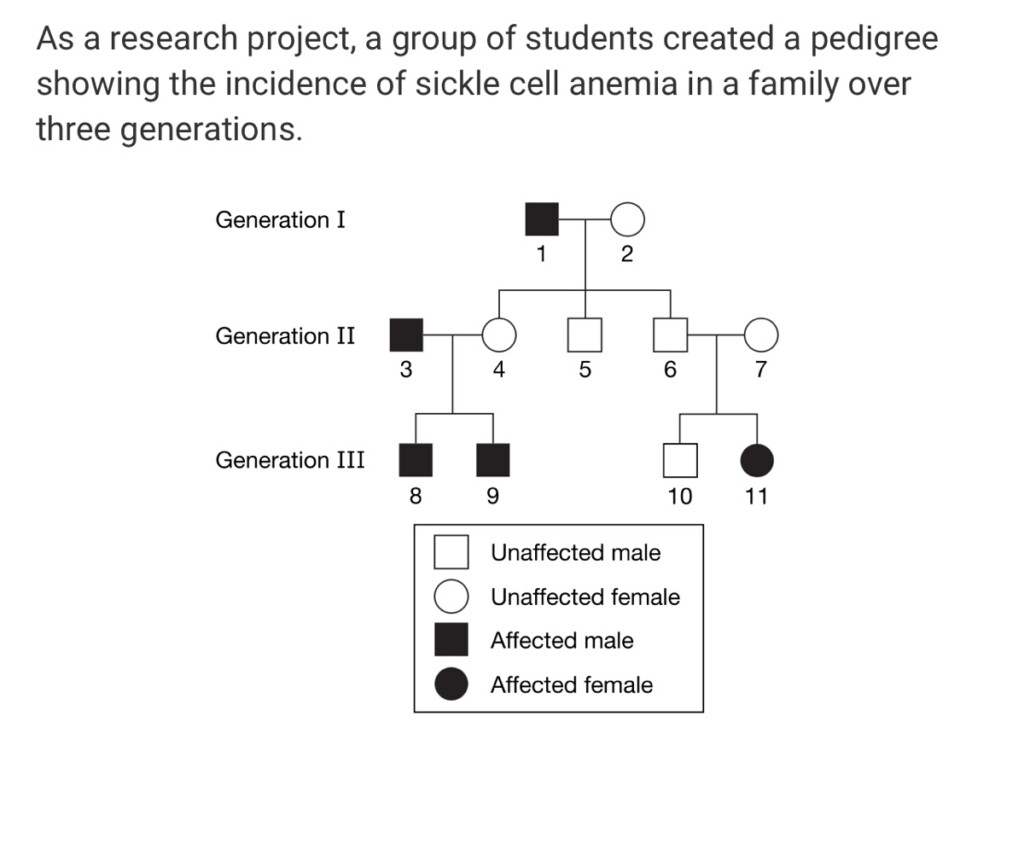 Sickle Cell Anemia Pedigree