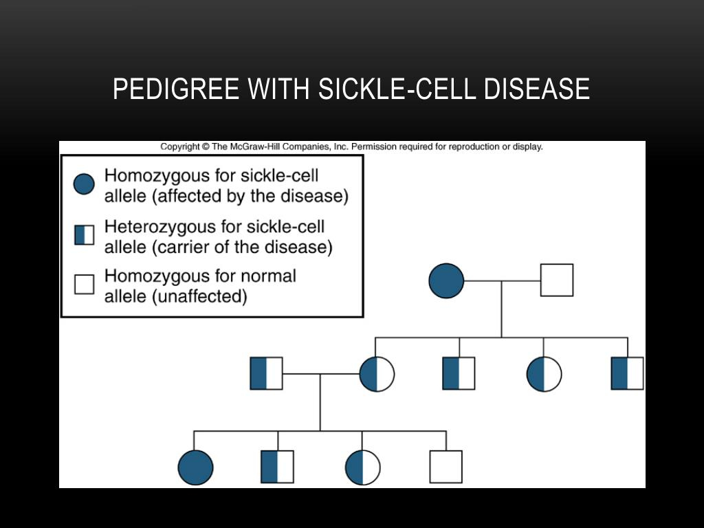 Sickle Cell Anemia Pedigree