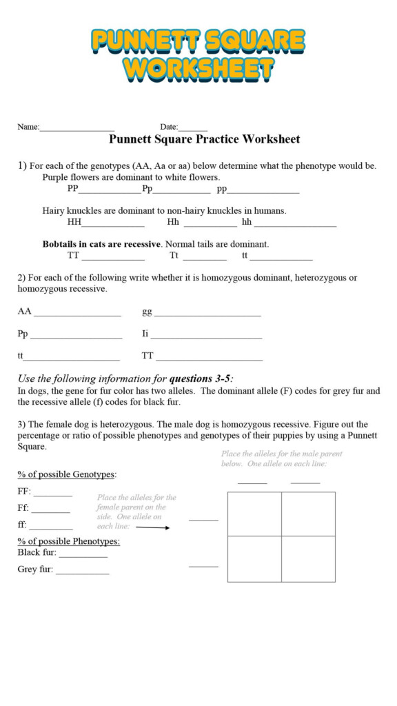 Sickle Cell Anemia Pedigree Worksheet Artofit