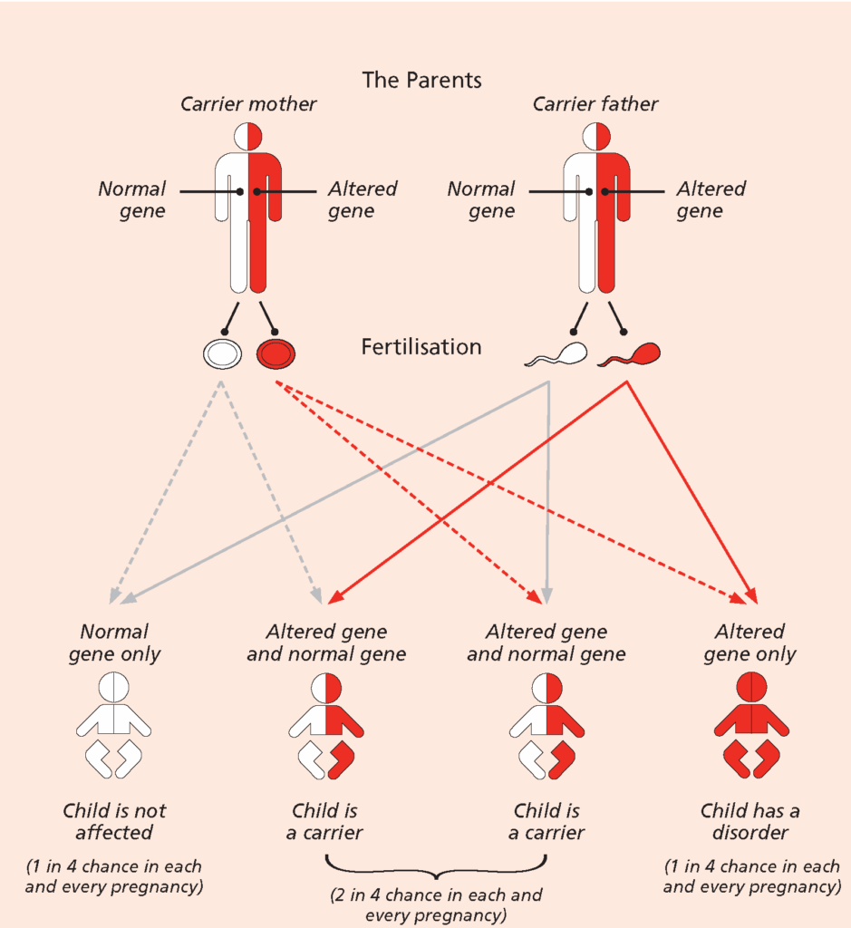 Sickle Cell Disease Know Your Genotype