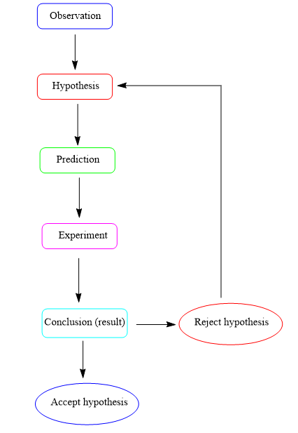 Sketch A Flowchart Of The Steps In The Scientific Method Th Quizlet 