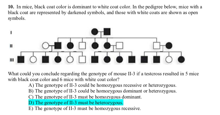 SOLVED 10 In Mice Black Coat Color Is Dominant To White Coat Color 