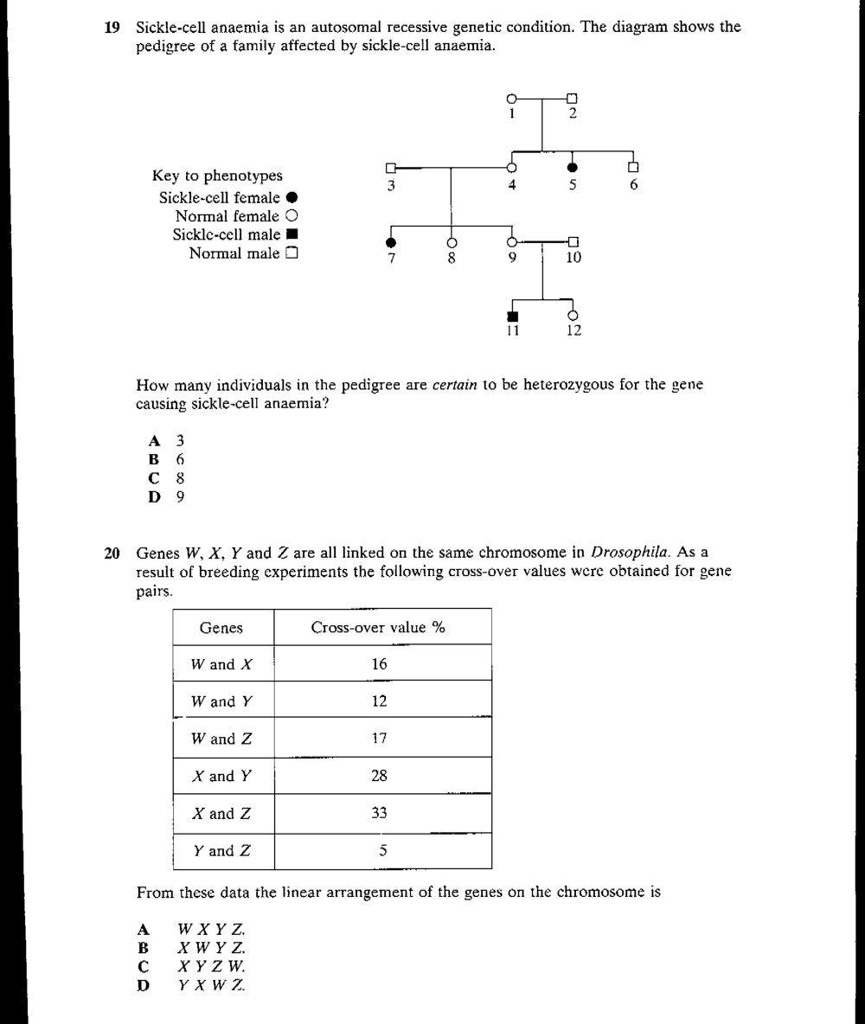 SOLVED 19 Sickle cell Anaemia Is An Autosomal Recessive Genetic 