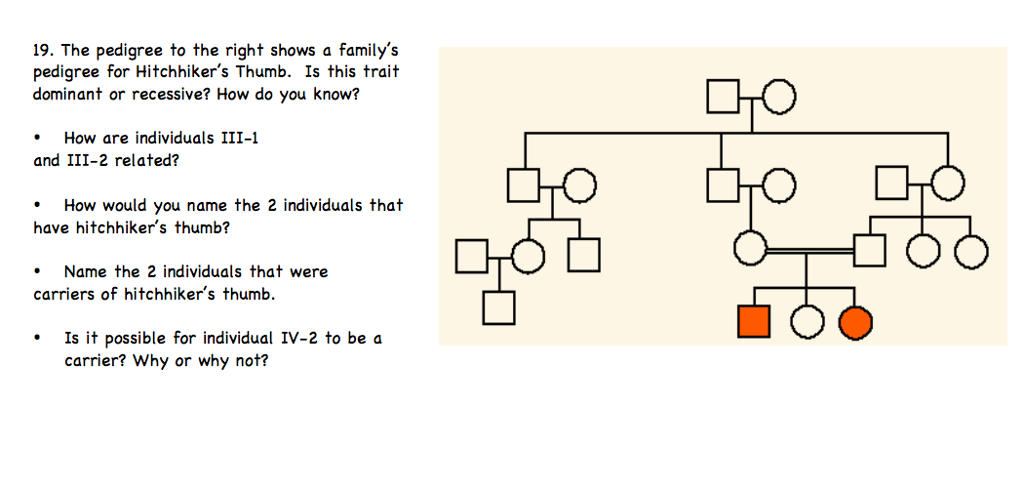 Solved 19 The Pedigree To The Right Shows A Family 39 s Chegg