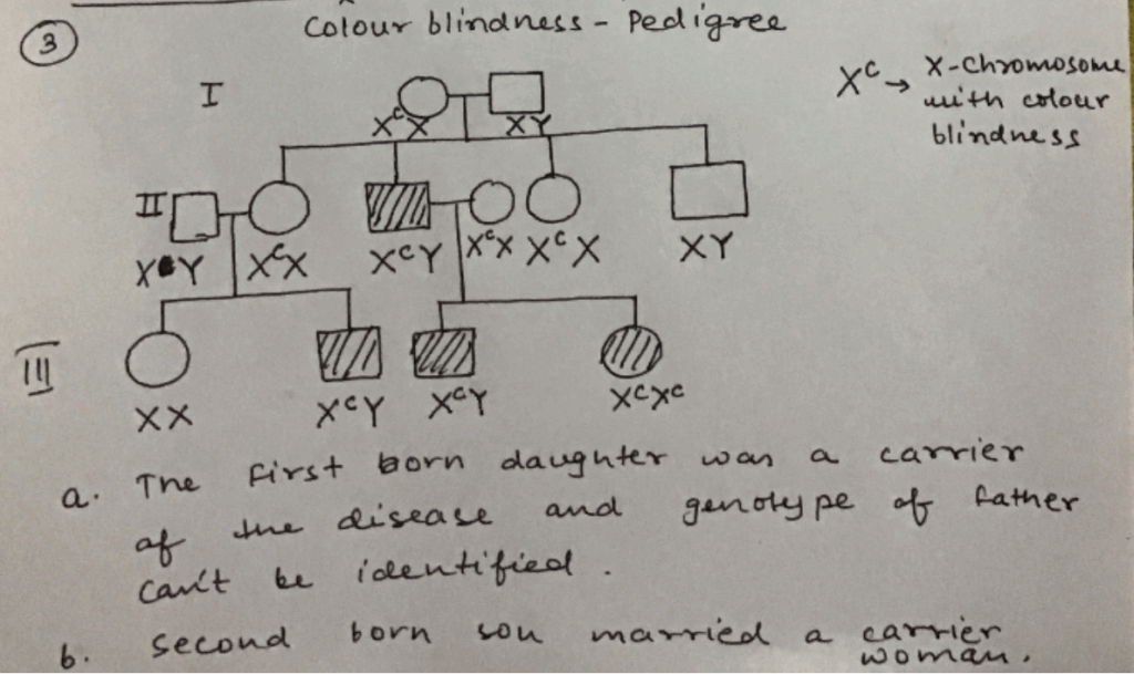 Solved 3 Using The Following Information Construct And Chegg