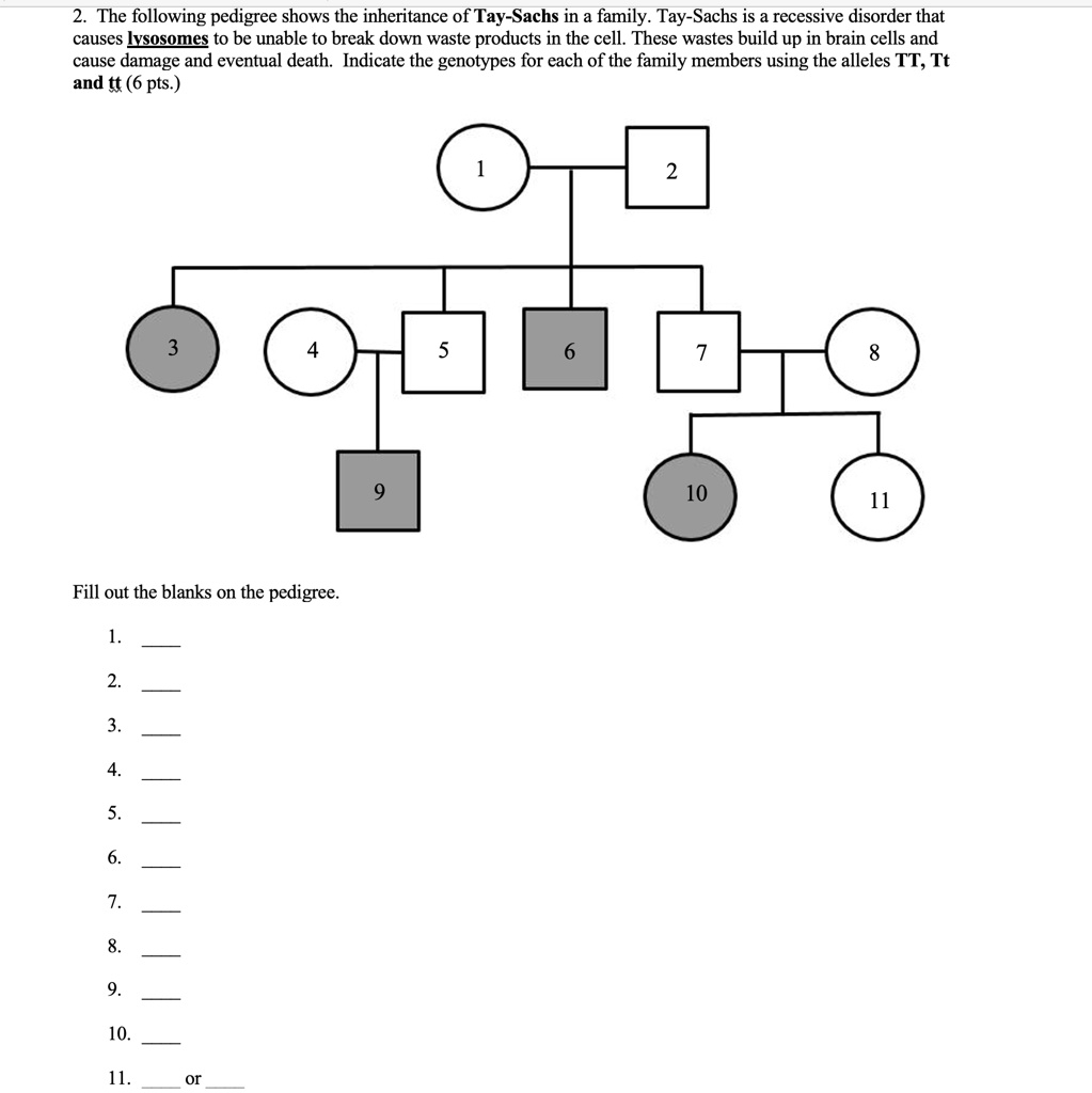 SOLVED 39 The Following Pedigree Shows The Inheritance Of Tay Sachs In 