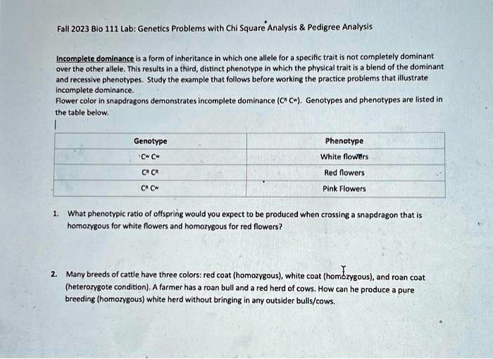 SOLVED Fall 2023 Bio 111 Lab Genetics Problems With Chi Square 