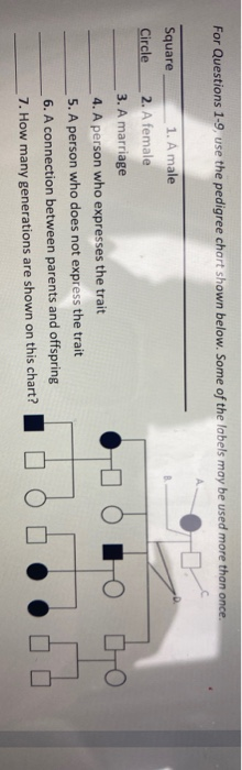 Solved For Questions 1 9 Use The Pedigree Chart Shown Chegg