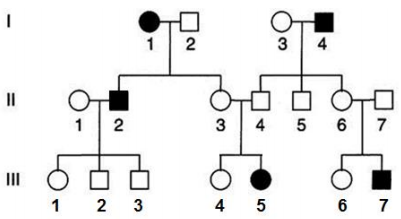 Solved For This Question Refer To The Following Family Chegg