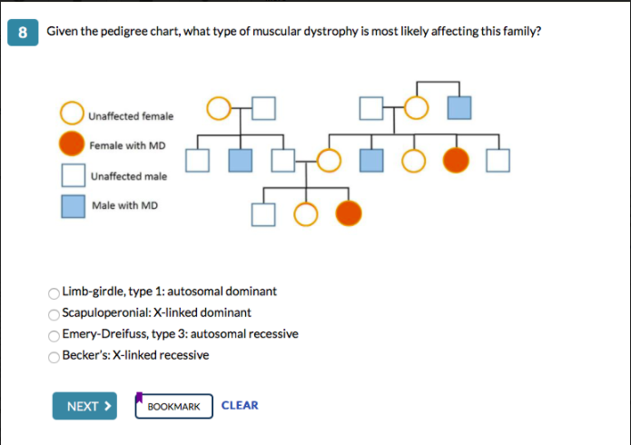 Solved Given The Pedigree Chart What Type Of Muscular Dy Chegg