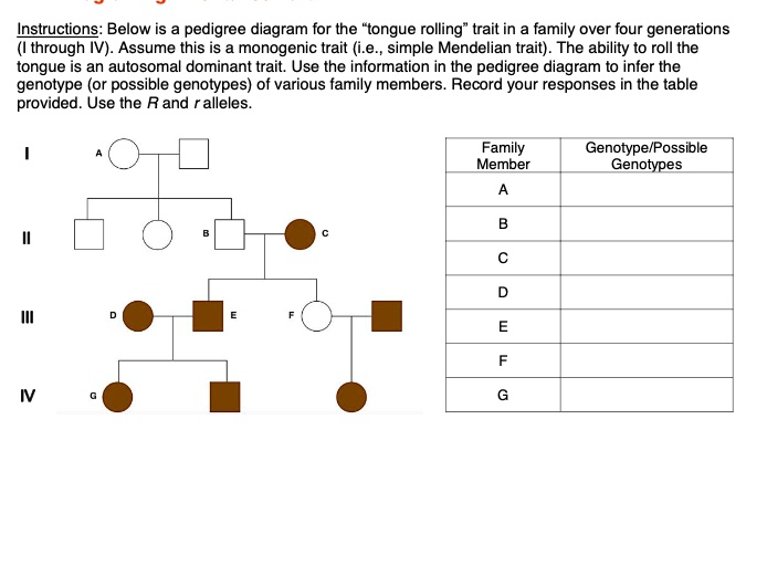 SOLVED Instructions Below Is Pedigree Diagram For The quot tongue Rolling 