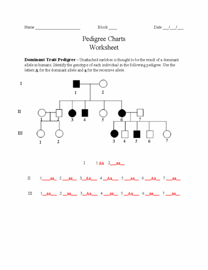 Solved Name Date Pedigree Charts Worksheet s Background Chegg 