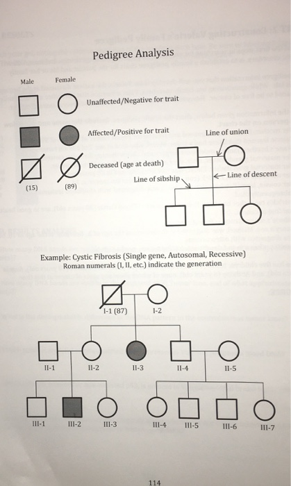 Solved PART 2 Constructing Valerie 39 s Family Pedigree One Chegg