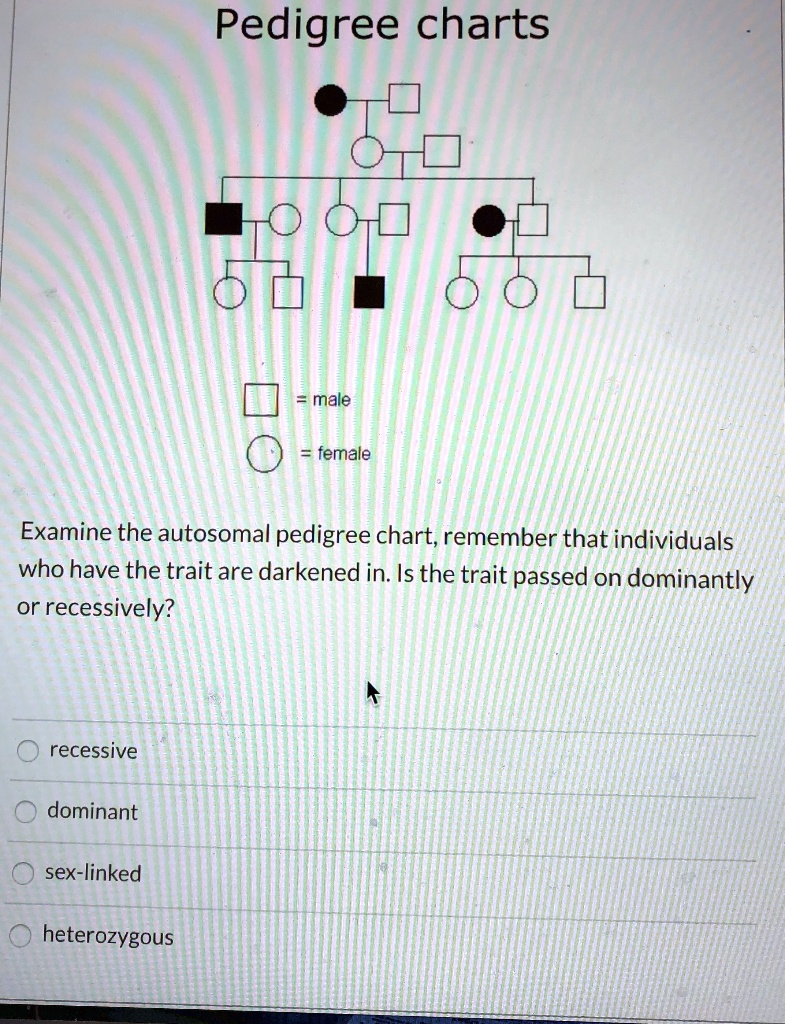 SOLVED Pedigree Charts Male Female Examine The Autosomal Pedigree 