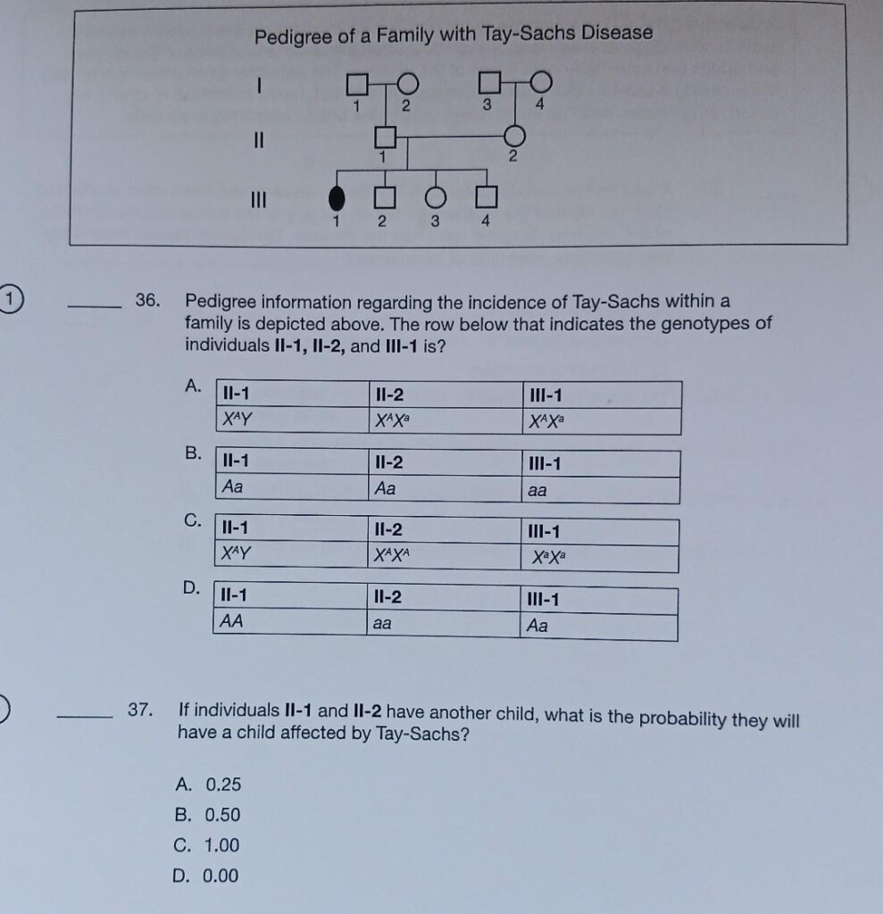 Solved Pedigree Of A Family With Tay Sachs Disease I II III Chegg