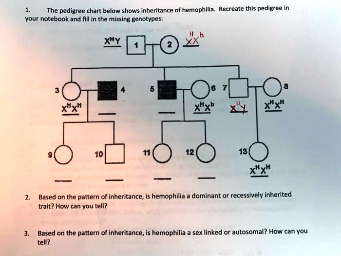 SOLVED The Pedigree Chart Below Shows The Inheritance Of Hemophilia 