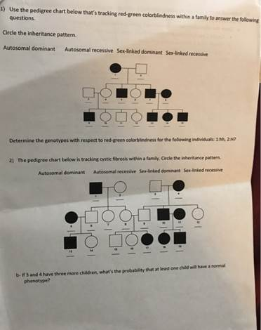  Solved Use The Pedigree Chart Below That 39 s Tracking Red green 1 