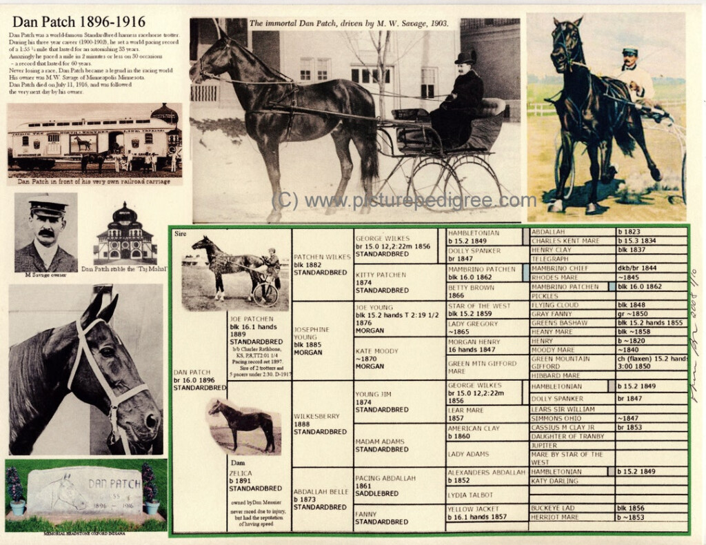 Standardbred Dan Patch Picture Pedigree Chart 8 5 X 11 Etsy