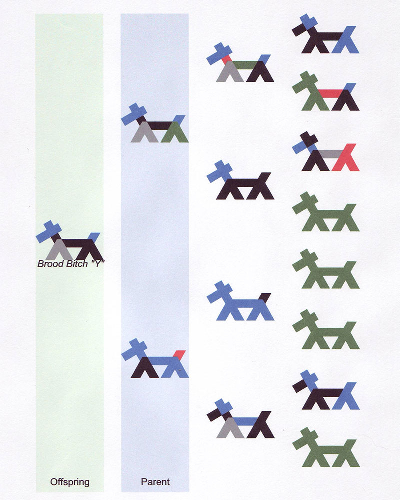 Stickdog Pedigree Breeding Better Dogs