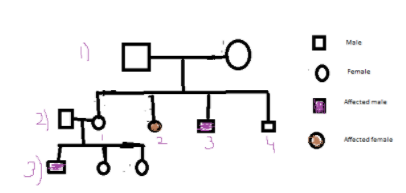 Study The Given Pedigree Chart For Sickle Cell Anaemia And Select The 