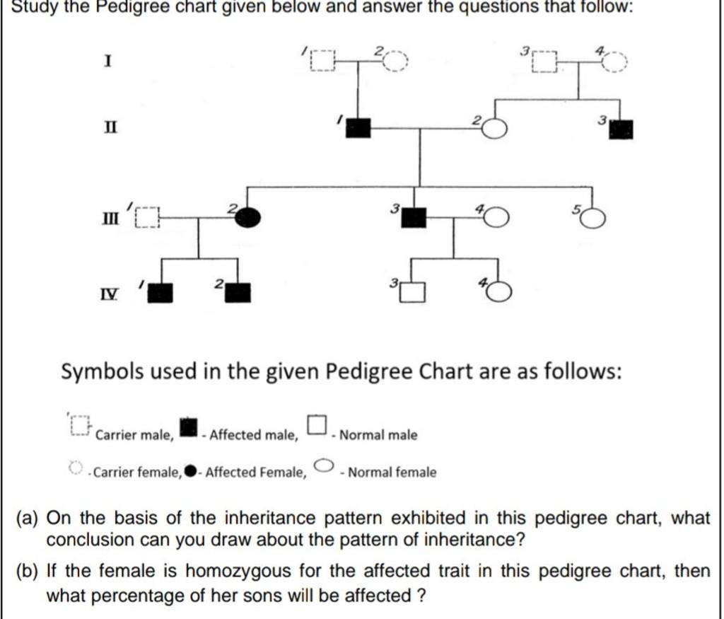 Study The Pedigree Chart Given Below And Answer The Questions That Follow 