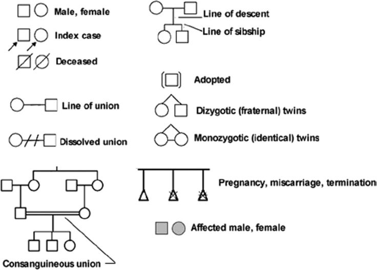 Symbol Pedigree Chart Identical Twins Chart